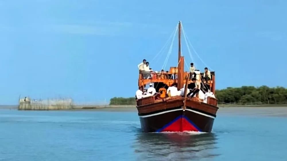 تور لنج تفریحی قشم در جنگل حرا