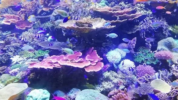 پارک آبی قشم با سرسره‌های آبی