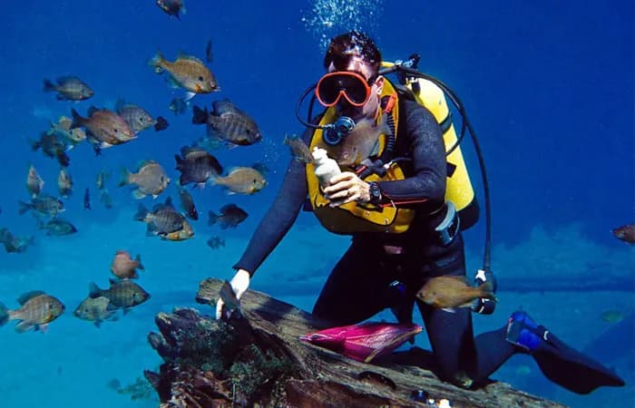 غواصی در قشم