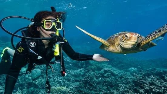 غواصی کودکان در قشم