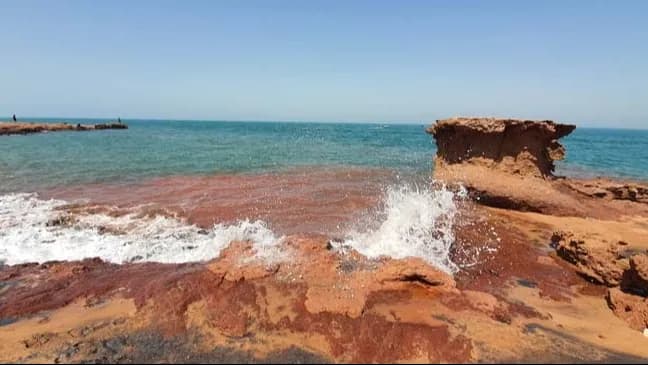 جاهای دیدنی جزیره لارک و ساحل بکر