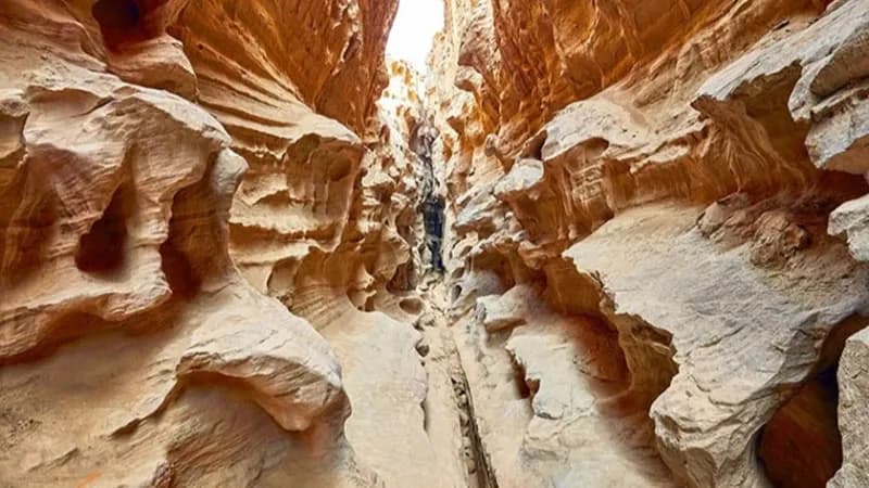 پرواز به سمت جزیره قشم و سواحل خلیج فارس