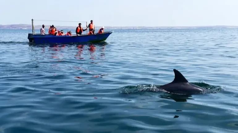 تفریحات آبی و دریایی در جزیره قشم