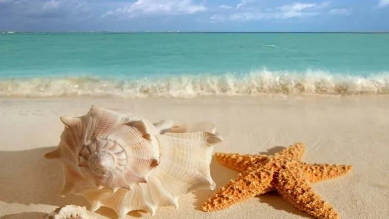 تجربه سفر خانوادگی در سواحل قشم