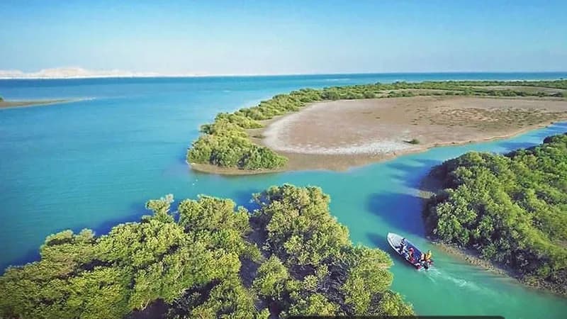 نمایی از جنگل حرا قشم برای اولین بار