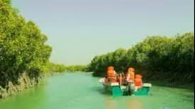 تجربه محلی در قشم و قایق‌سواری در جنگل حرا