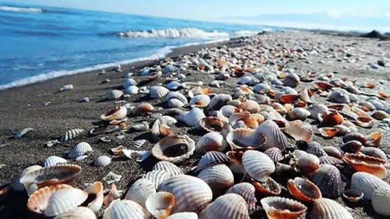 ساحل جزیره قشم در هوای مطبوع بهاری