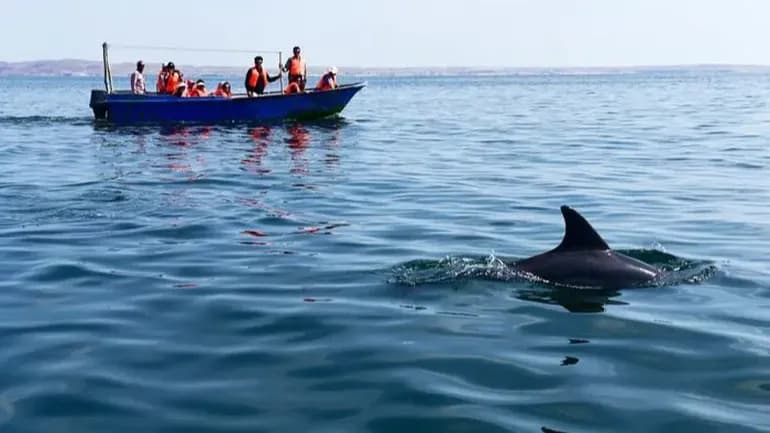 نمایی از قایق‌های تفریحی و آب‌های نیلگون جزیره هنگام گردشگری
