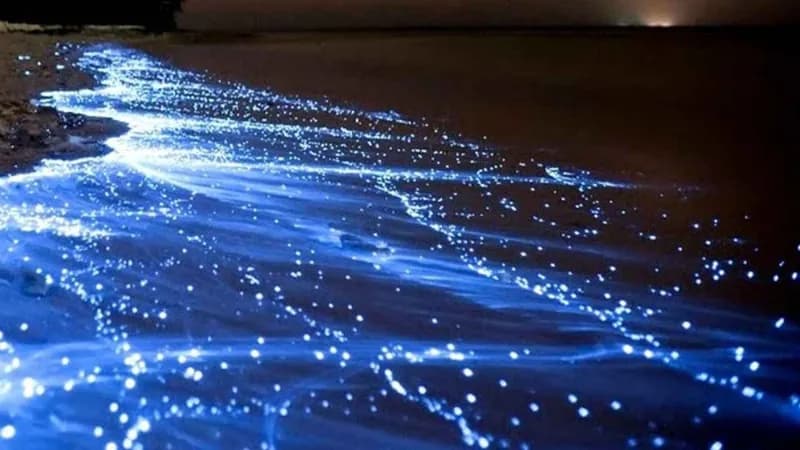 امنیت در سواحل قشم هنگام غروب و شب