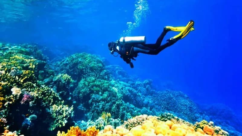 نمایی از تفریحات آبی و تورهای قشم در ساحل