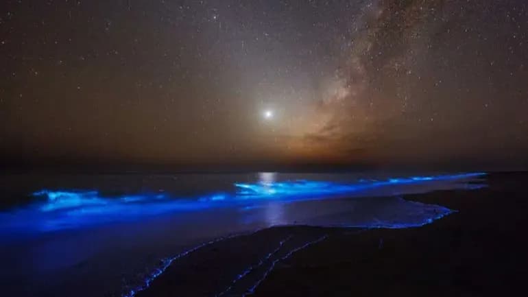 یک مسافر تنها در حال تماشای غروب خلیج فارس در قشم