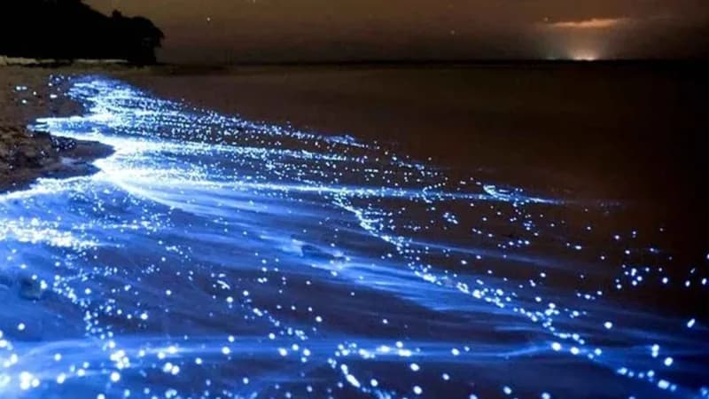 نمای غروب ساحل قشم در سال ۲۰۲۶