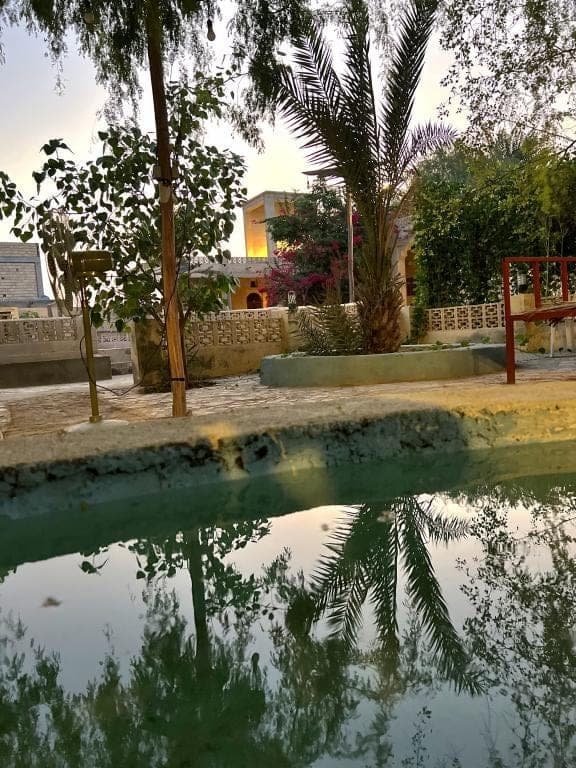 حیاط سرسبز با درختان نخل و گل کاغذی بوم‌گردی خانه دوست قشم