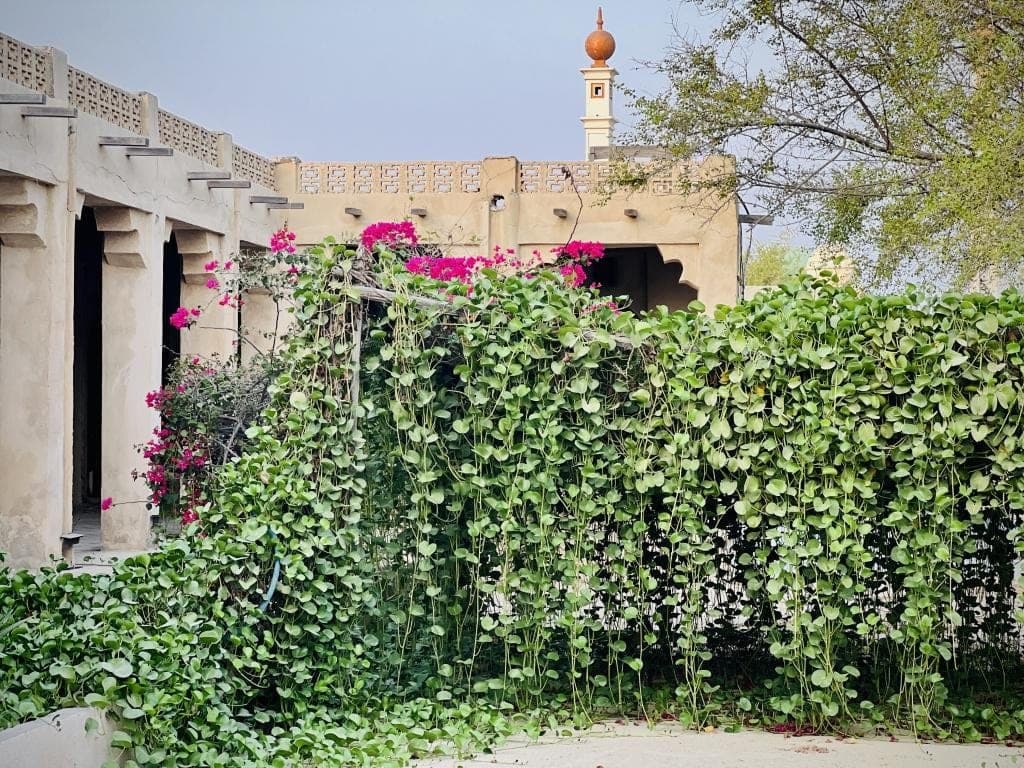 ساختمان سنتی و محوطهٔ سرسبز بوم‌گردی خانه دوست قشم