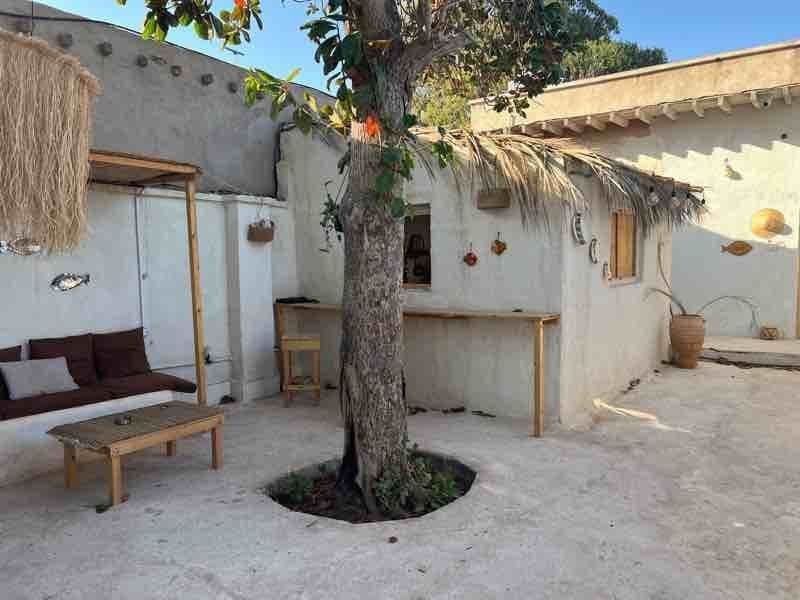 حیاط مرکزی با درخت و واحدهای سنتی خانه شیوا هرمز