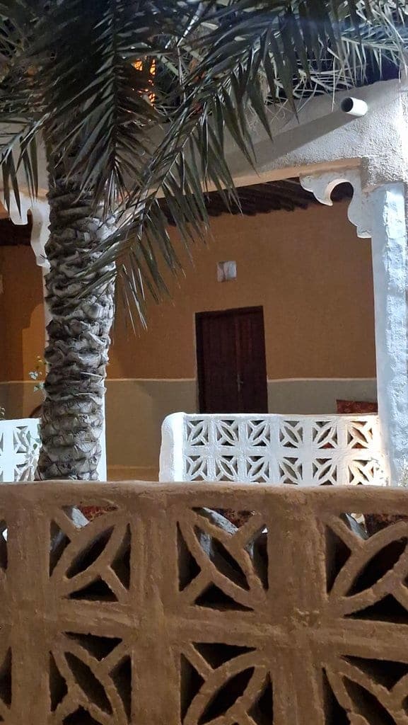 گیاهان سبز و فضای دلباز حیاط بوم‌گردی ریما درگهان قشم
