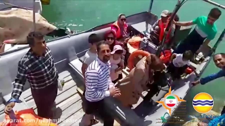 به قشم بیایید ودلفین ها،این حیوانات بازیگوش راببینید