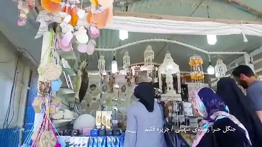 فیلم جنگل حرا جزیره قشم