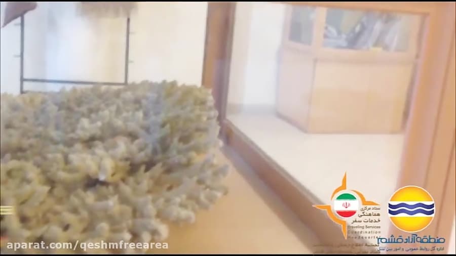 مستندسازی انسانهای نخستین در موزه ژئوپارک شماره204