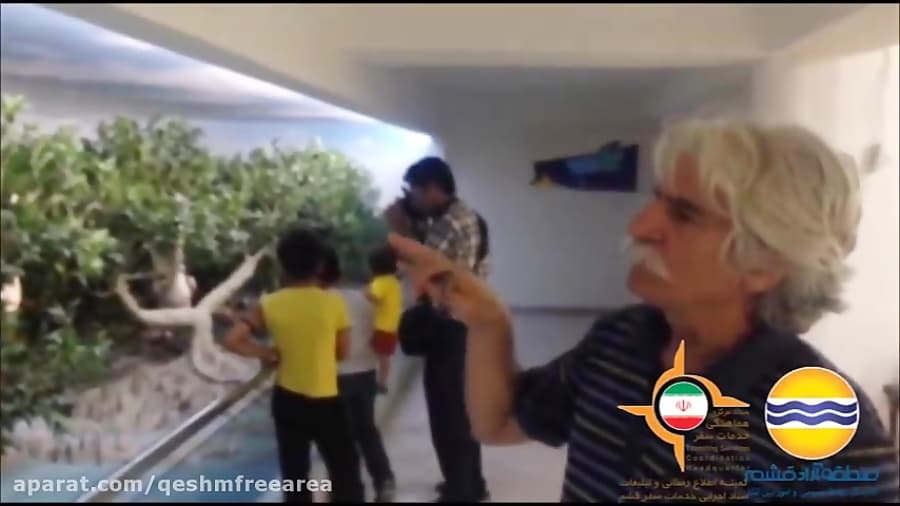 بسترسازی سایت های جزیره درموزه ژئوپارک قشم-شماره208