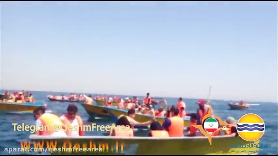 دلفین های زیبای خلیج فارس را ببینید -شماره218