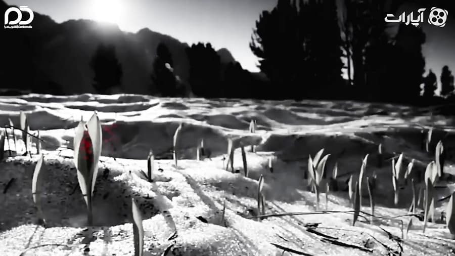 عاقبت فردی كه علیه ریخت و پاش مسئولین افشاگری كرد