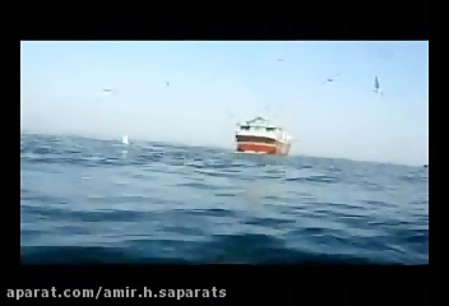 قشم، جزیره عجایب هفتگانه خلیج فارس!