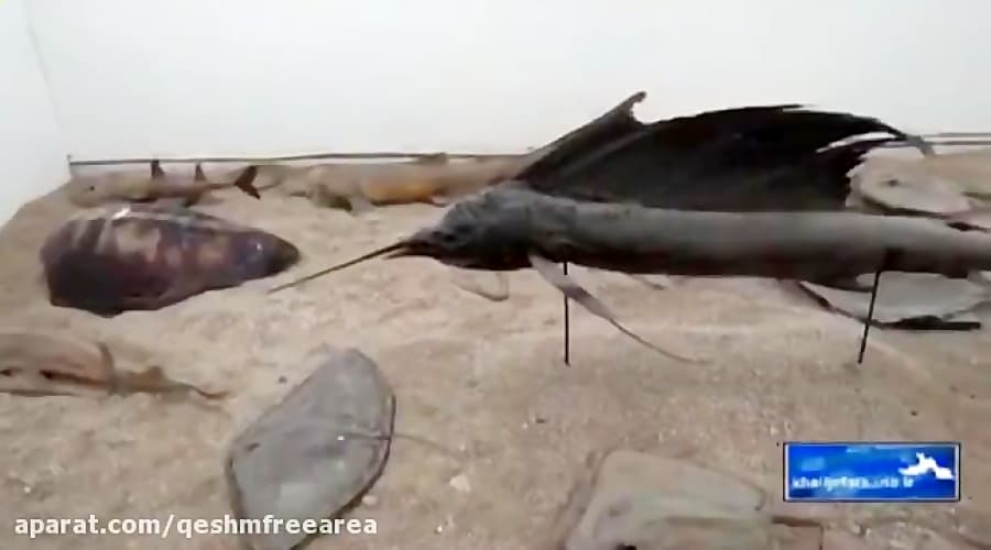 موزه ژئوپارك قشم یكی از زیباترین مقاصد گردشگران داخلی و خارجی