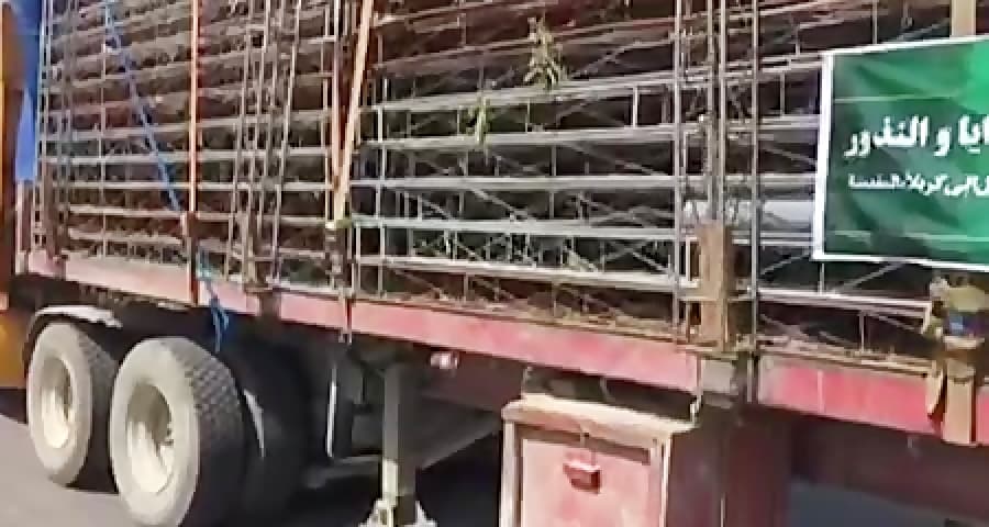 اعزام کاروان موکب انصار المهدی قشم