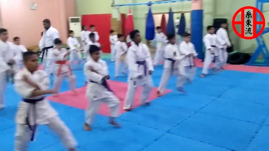 استاژ فنی شیتوریو شیتوکای در قشم برگزار شد