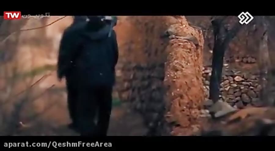 اقدامات سازمان منطقه آزاد قشم در جهت شکوفایی اقتصادی