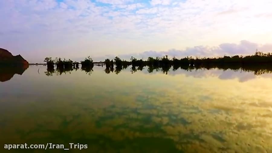 تالاب استیل؛ میعاد پرندگان مهاجر