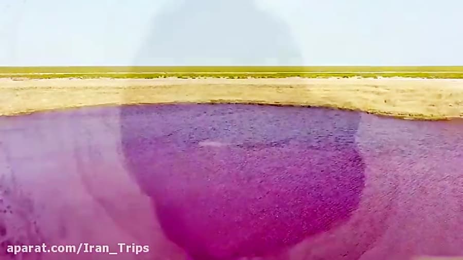 گلفشان نفتلیجه؛ چشمه شگفت انگیز در گمیشان‌