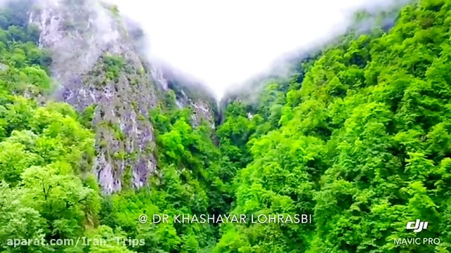 جاده دوهزار؛ مسیر جنگلی بکر