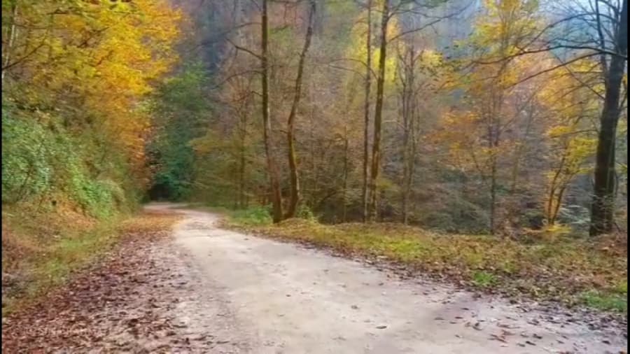 آبشار گزو؛ مسیری زیبا، مقصدی زیباتر