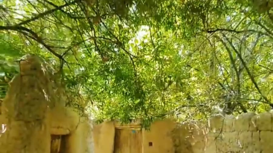 باغ شهر تفت؛ منطقه ییلاقی در استانی کویری