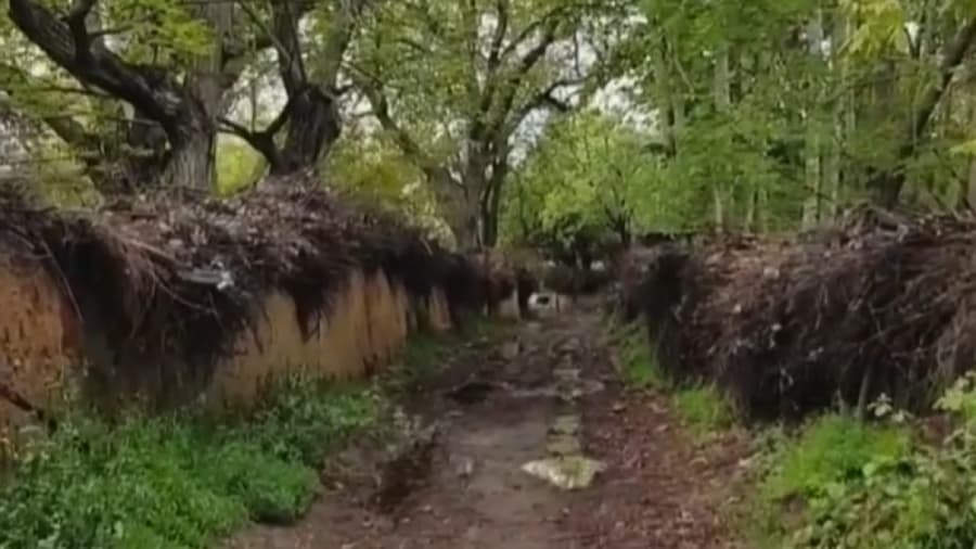 شیراز؛ طعم شعر و بوی بهارنارنج