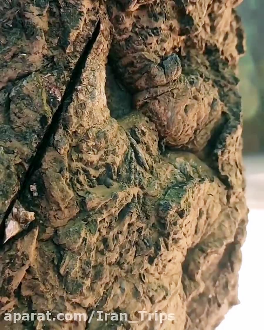 گلستان؛ گلی برای گردشگری ایران