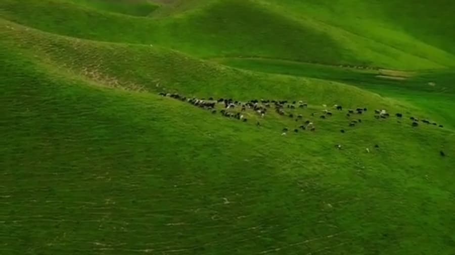 گلستان؛ گلی برای گردشگری ایران