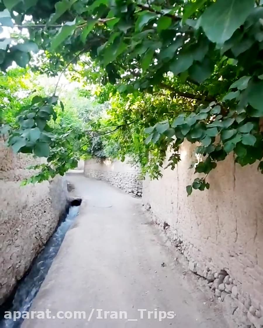 باغ شهر تفت