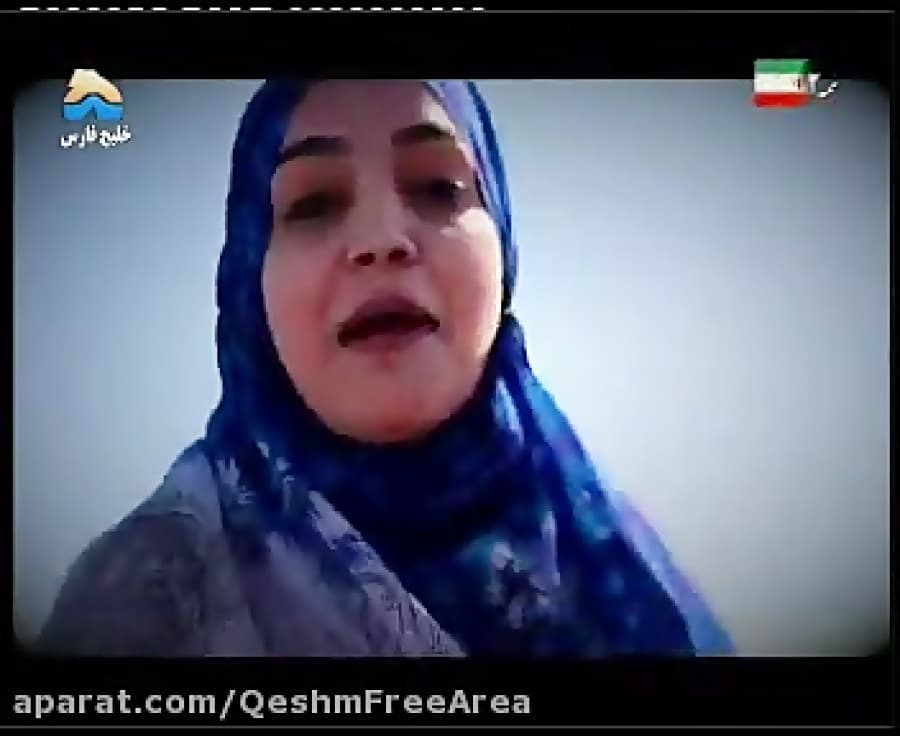 معرفی جاذبه های قشم-هنگام-دلفین های خلیج فارس