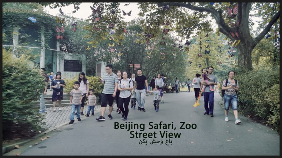 استریت ویو سافاری باغ وحش پکن، چین || beijing safari zoo, china