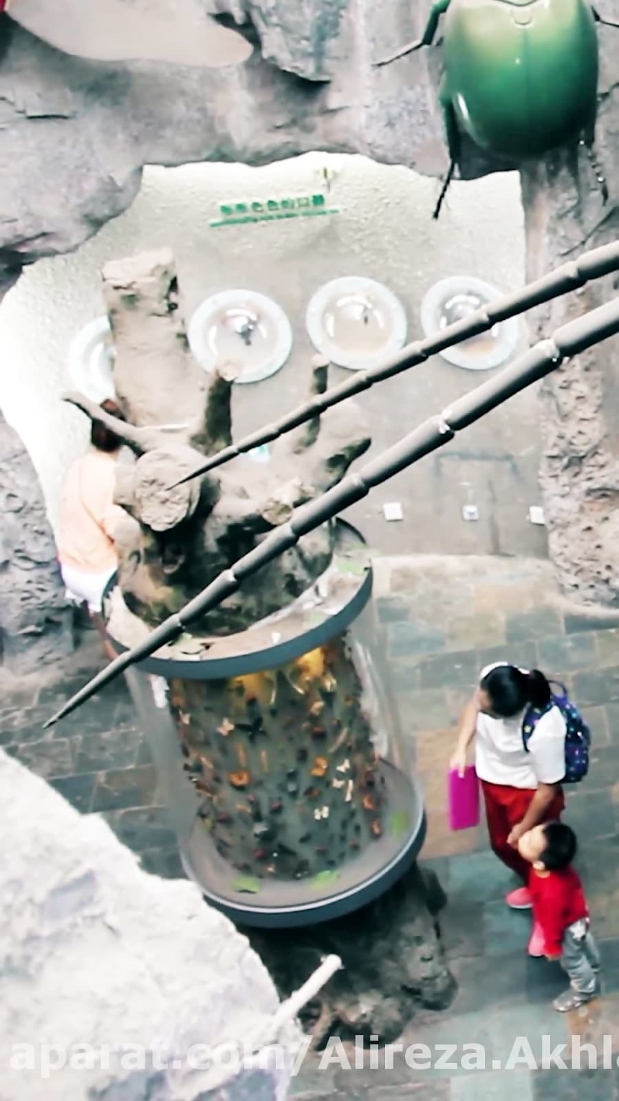 موزه علم و فناوری شانگهای، چین || National Science Museum