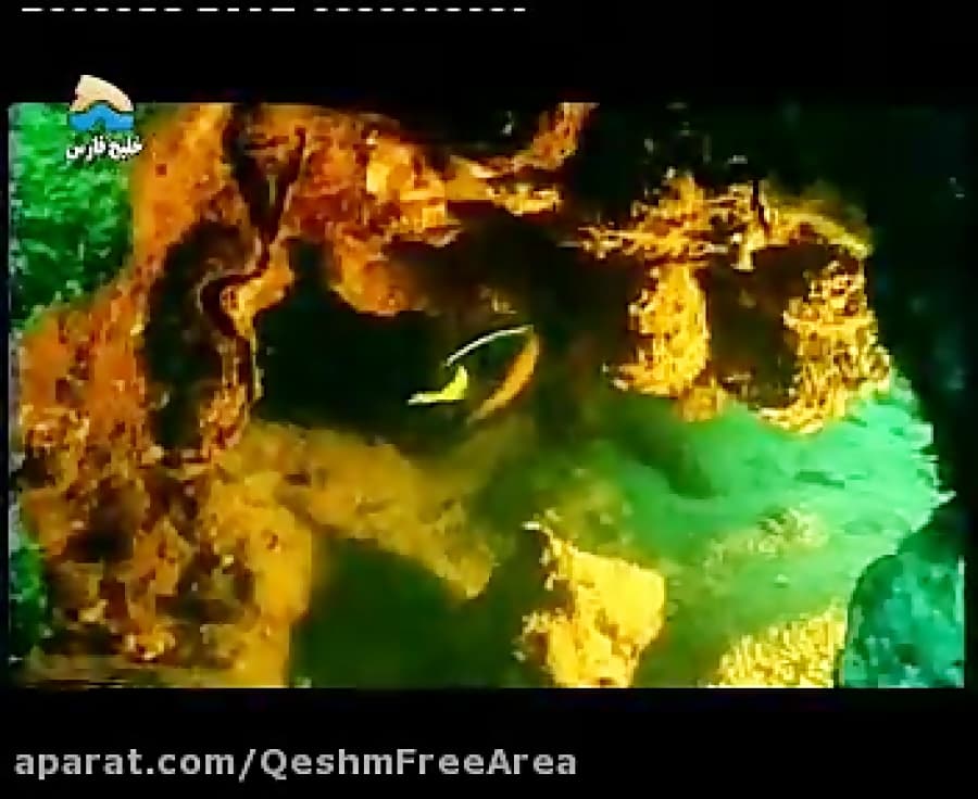 جهان زیر آب  -قشم