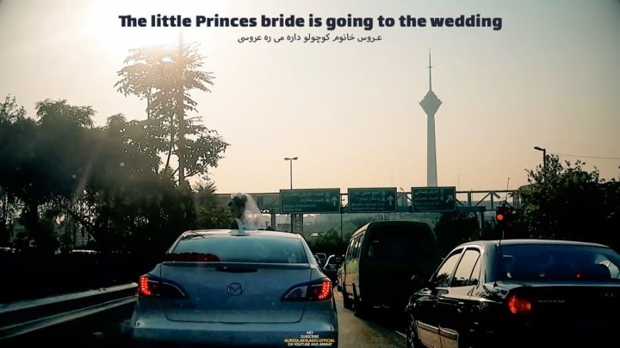 پرنسس کوچولو داره می ره عروسی || Little Princes going to Wedding