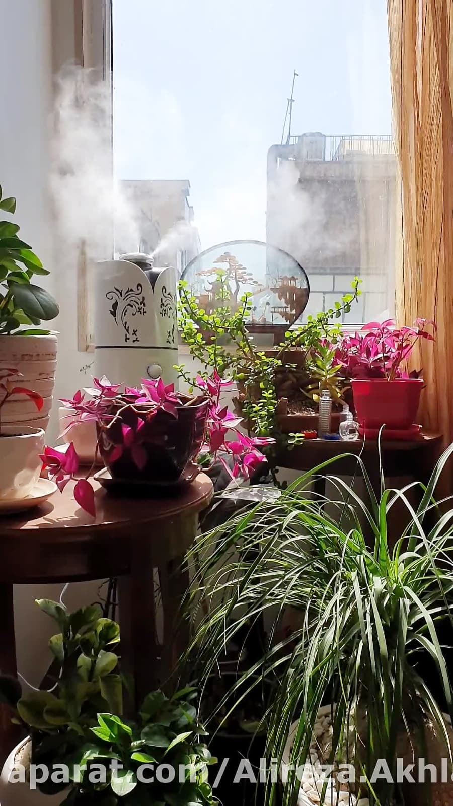 بهشت من // My Heaven