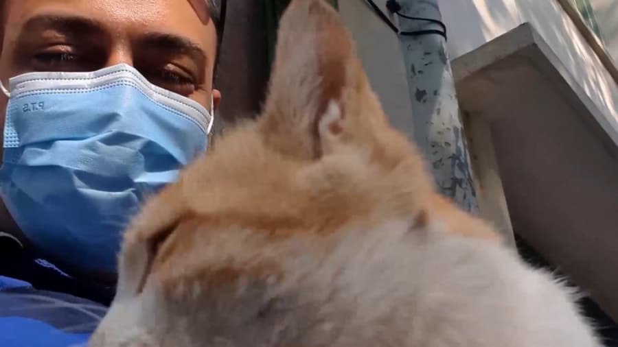 گارفیلد، دوست جدید من // My New Friend, Garfield