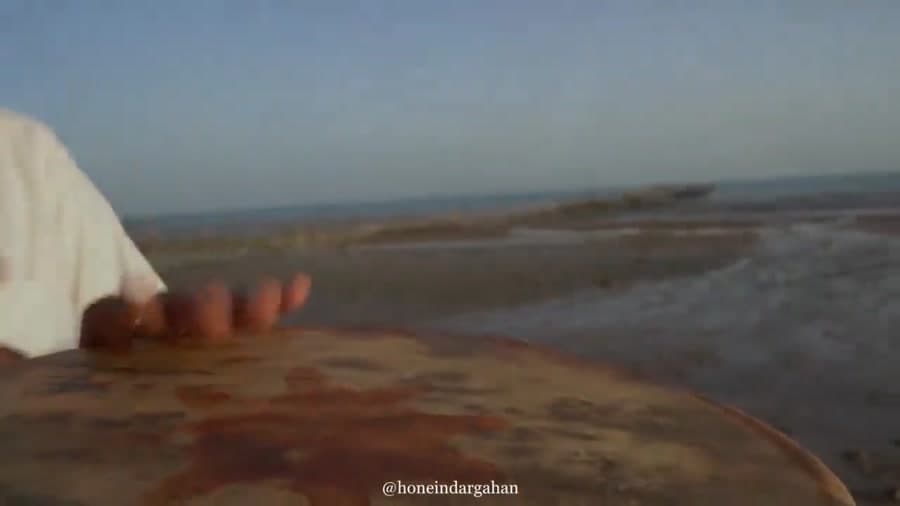 سرور دو عالم