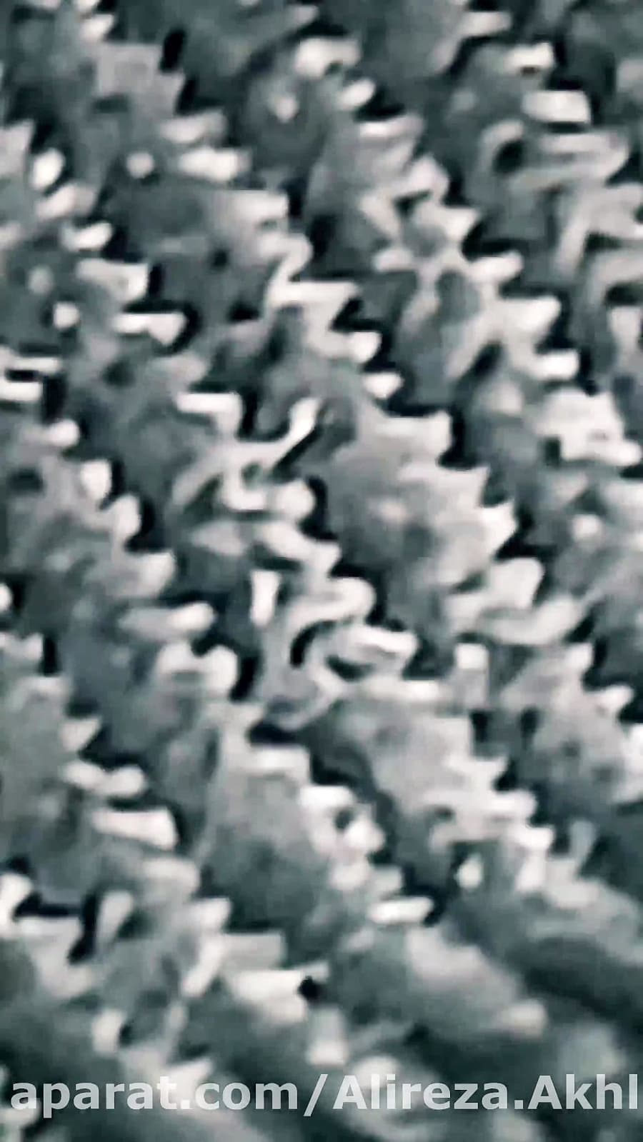 زوم لنز گوشی موبایل سامسونگ اس 10 // Samsung Mobile