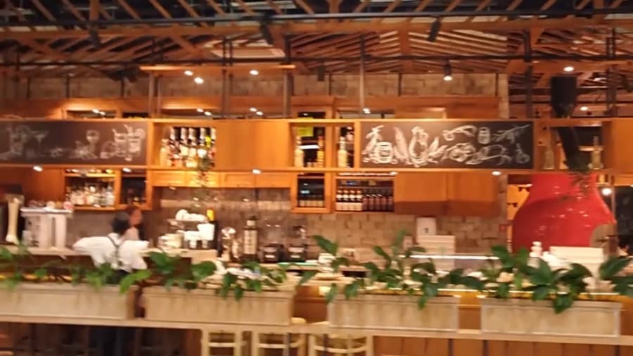 ترمینال فرودگاه ای اس پوشکین (شرمتیوو) مسکو // Moscow Airports